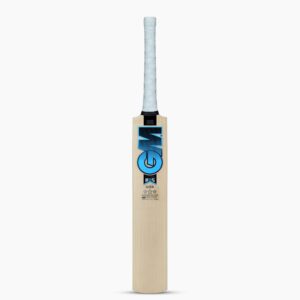 Cricket bat